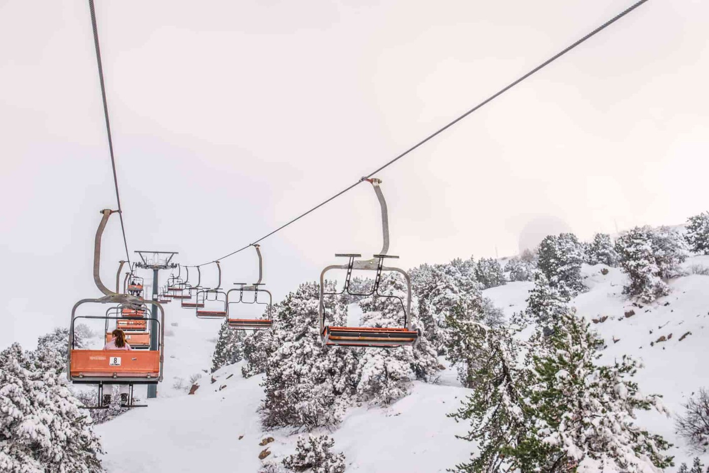 Chairlift above snow-covered slopes and pine trees in Troodos, Cyprus